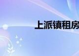 上派镇租房（上派房屋出租）