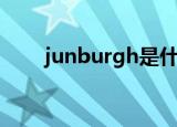 junburgh是什么牌子（junburgh）
