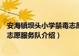 安海镇坝头小学禁毒志愿服务队（关于安海镇坝头小学禁毒志愿服务队介绍）