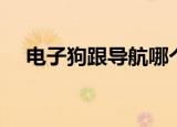 电子狗跟导航哪个好用（导航犬好用吗）