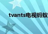tvants电视蚂蚁手机版可以看吗安全吗