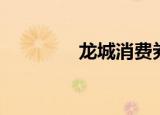 龙城消费券（艺龙消费券）