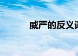 威严的反义词（结实的反义词）