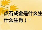 点石成金是什么生肖请大师指点（点石成金是什么生肖）