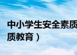 中小学生安全素质教育回放（中小学生安全素质教育）
