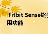  Fitbit Sense终于在美国和欧洲获得ECG应用功能