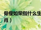 骨瘦如柴指什么生肖答案（骨瘦如柴指什么生肖）
