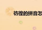 彷徨的拼音怎么写（彷徨的拼音）