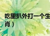 吃里扒外打一个生肖动物（吃里扒外打一个生肖）