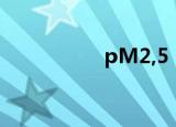pM2,5（pm2 5预报）