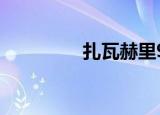 扎瓦赫里9岁（扎瓦赫里）