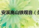 安溪高山铁观音（关于安溪高山铁观音介绍）