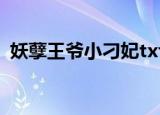 妖孽王爷小刁妃txt下载（妖孽王爷小刁妃）