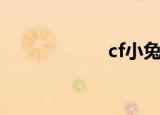 cf小兔叽（cf月兔）