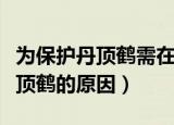 为保护丹顶鹤需在我国南方北方（我国保护丹顶鹤的原因）