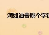 润如油膏哪个字错了（润如油膏的意思）