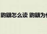 鼩鼱怎么读 鼩鼱为什么不能打（鼩鼱怎么读）