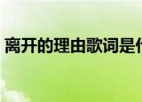 离开的理由歌词是什么歌（离开的理由歌词）