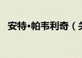 安特·帕韦利奇（关于安特·帕韦利奇介绍）