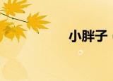 小胖子（小胖子助手）