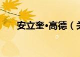 安立奎·高德（关于安立奎·高德介绍）