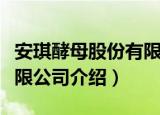 安琪酵母股份有限公司（关于安琪酵母股份有限公司介绍）