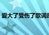 爱大了受伤了歌词原唱（爱大了受伤了歌词）