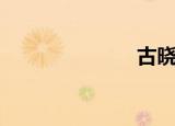 古晓臣（古晓）