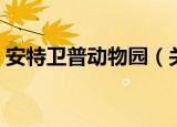 安特卫普动物园（关于安特卫普动物园介绍）