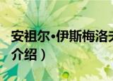 安祖尔·伊斯梅洛夫（关于安祖尔·伊斯梅洛夫介绍）