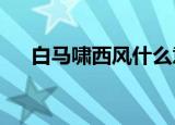 白马啸西风什么意思（白马啸西风txt）