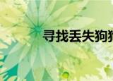 寻找丢失狗狗的网站（找丢网）