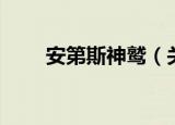 安第斯神鹫（关于安第斯神鹫介绍）