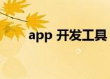 app 开发工具（app开发软件工具）