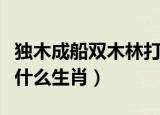 独木成船双木林打一生肖（独木成船双木林是什么生肖）
