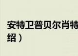 安特卫普贝尔肖特（关于安特卫普贝尔肖特介绍）