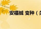 安福槭 变种（关于安福槭 变种介绍）