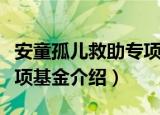 安童孤儿救助专项基金（关于安童孤儿救助专项基金介绍）
