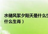 水储风絮夕阳天是什么生肖代什么数字（水储风絮夕阳天是什么生肖）