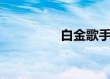 白金歌手男（白金歌手）