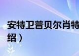 安特卫普贝尔肖特（关于安特卫普贝尔肖特介绍）