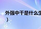 外强中干是什么生肖?（外强中干是什么生肖）