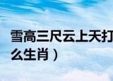 雪高三尺云上天打生肖（雪高三尺云上天指什么生肖）