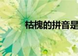 枯槐的拼音是什么（枯槐的拼音）