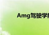 Amg驾驶学院（amg驾驶学院）
