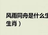 风雨同舟是什么生肖2022（风雨同舟是什么生肖）