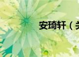 安琦轩（关于安琦轩介绍）