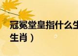 冠冕堂皇指什么生肖2021（冠冕堂皇指什么生肖）