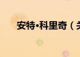 安特·科里奇（关于安特·科里奇介绍）