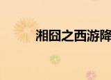 湘囧之西游降妖在线观看（湘囧）